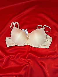 Aysemin dolgulu sütyen